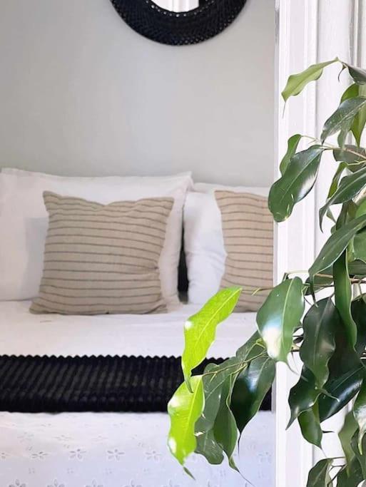 Ammoudara Apartment'S Kálymnos Eksteriør billede